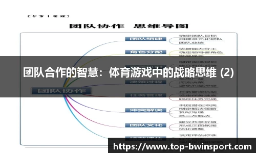 团队合作的智慧：体育游戏中的战略思维 (2)